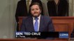 SNL mocks Ted Cruz's unpopularity in Facebook hearing skit