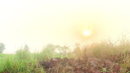 SUNRISE In The Morning | Qasim THE VLOGGER