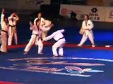 Korean Tigers  Taekwondo Club