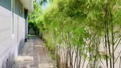 Home tour 17 സെന്റിൽ ഒരു അടിപൊളി glass house _ veedu _ latest designer home _ Rifina Nasheeth _