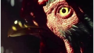 Far Cry 6 Chicken Chase Scene || Action Status || Abhiram Laha