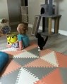 Tingkah lucu kucing saat bersama anak kecil