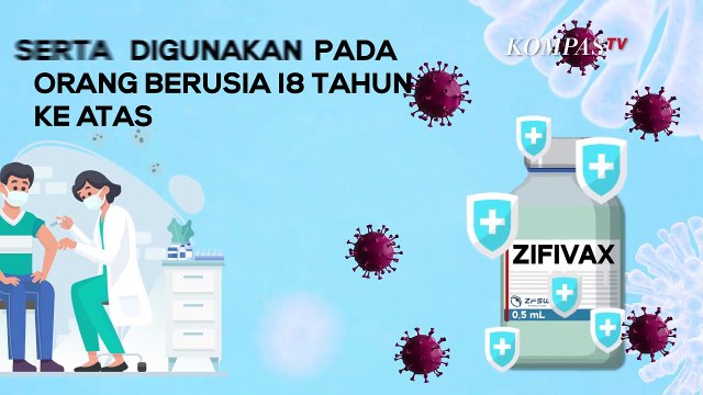 Mengenal Vaksin Zifivax, Dinyatakan Halal oleh MUI, Efikasi Hingga 81 Persen
