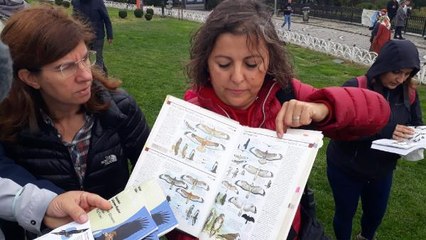 KUŞ GÖZLEMCİLERİ ÇAMLICA TEPESİ'NDE BİR ARAYA GELDİ