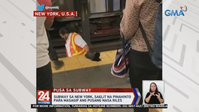 Subway sa New York, saglit na pinahinto para masagip ang pusang nasa riles | 24 Oras Weekend