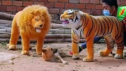 Animals Prank Funniest Video 7 | Try not to laugh