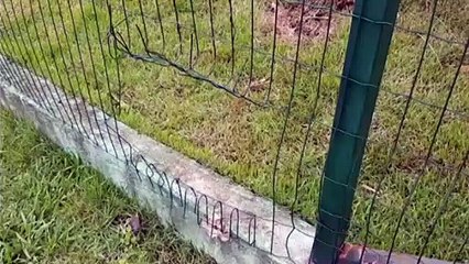 Furto de fiação é registrado na capela mortuária do Bairro Floresta