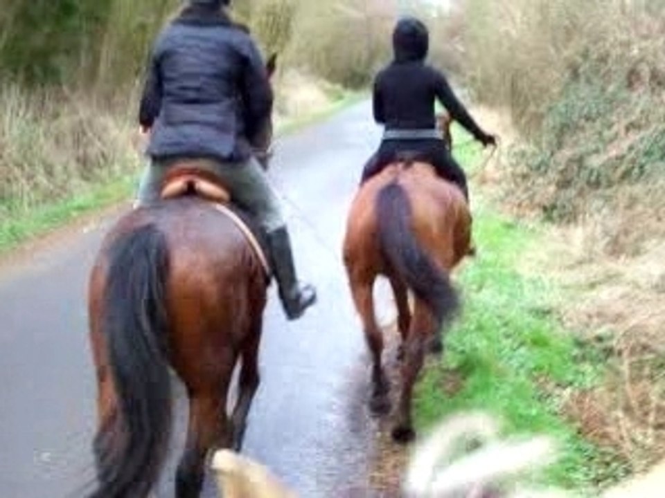 Balade fanto trot