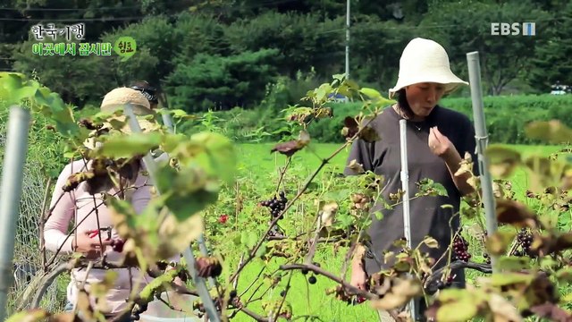 한국기행 - Korea travel_이곳에서 잠시만 쉼표 1부- 나만의 비밀 낙원_#002