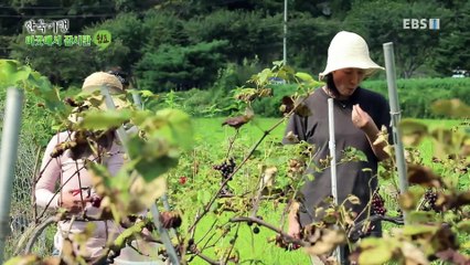 한국기행 - Korea travel_이곳에서 잠시만 쉼표 1부- 나만의 비밀 낙원_#002
