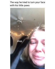 we don’t deserve cats, they’re literally too perfect