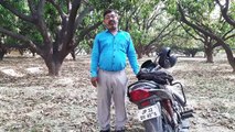 दशहरी आम का मुख्य पौधा - Mother Tree  Of Mango Dashari Malihabadi Dashari