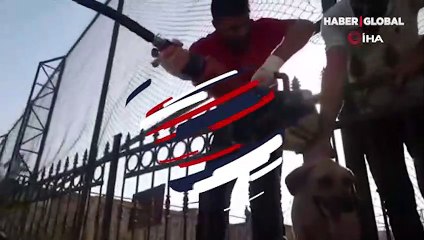 Herkes seferber oldu! Demir korkuluklara sıkışan köpek böyle kurtarıldı