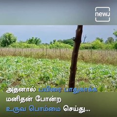 Adilabad Farmer's Innovative Idea To Save Crops