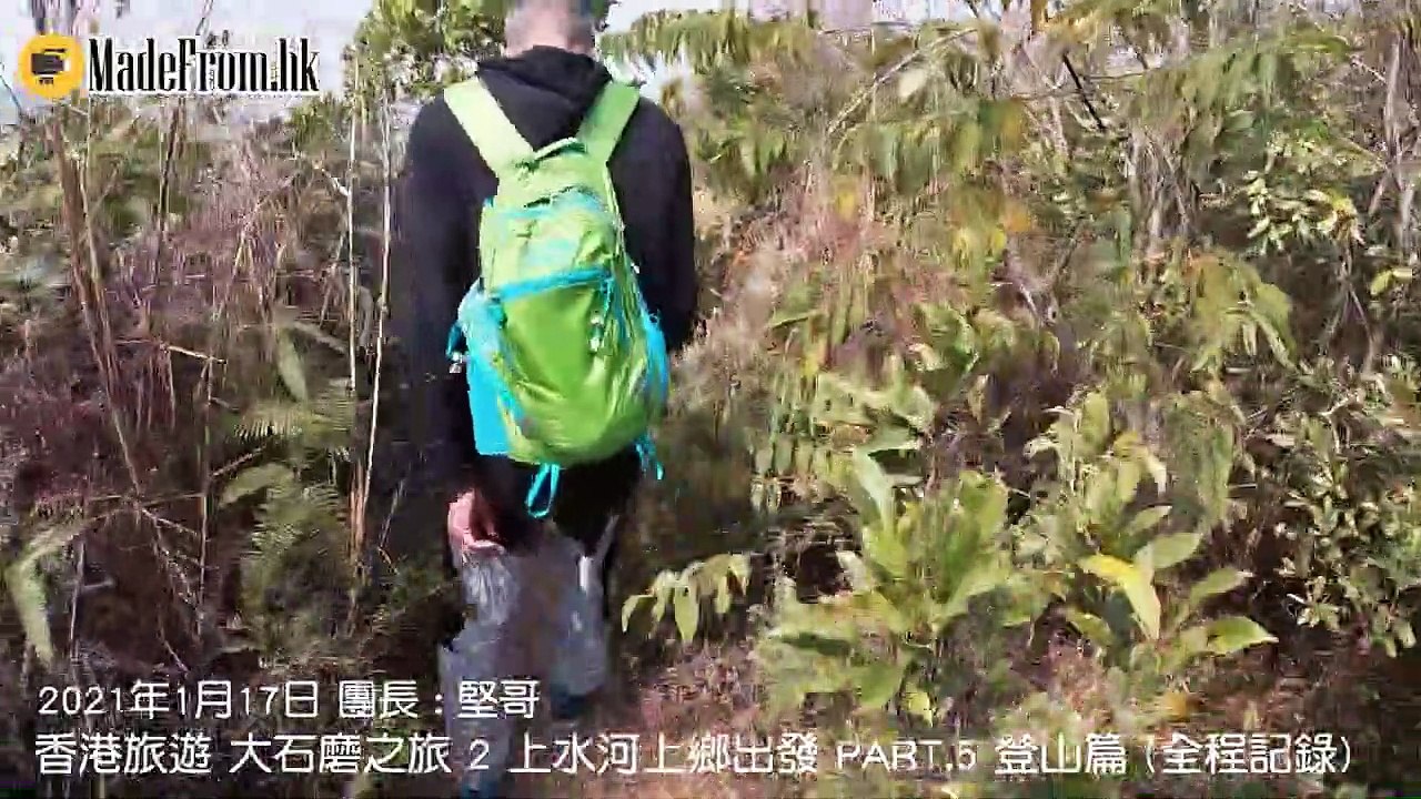 香港旅遊 大石磨之旅 PART 5 登山篇 ,上水河上鄉出發