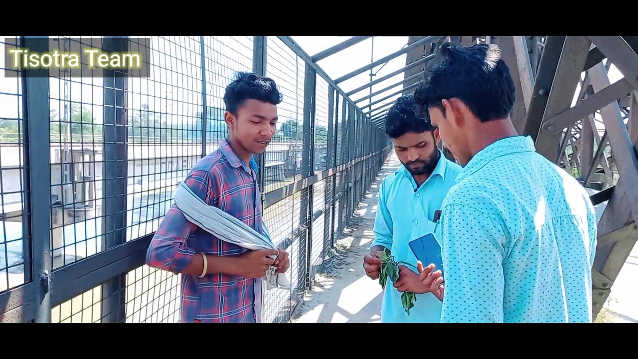 पुल की चाकिंग करने आए अधिकारी मलिक बना हवलदार || Balawali Pull || Tisotra Team