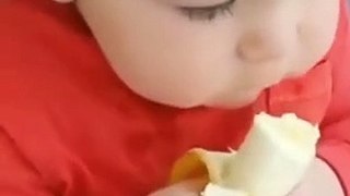 Cute baby eating banana