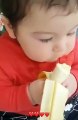 Cute baby eating banana