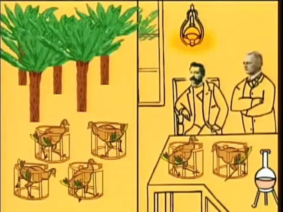 A Saga do Prêmio Nobel - Ep.09_ As Vitaminas (D...