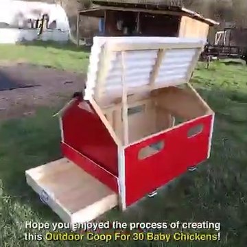 build an outdoor brooder coop for 30 baby chicken CHICKENS build with COOP! FEEDING CHICKENS
