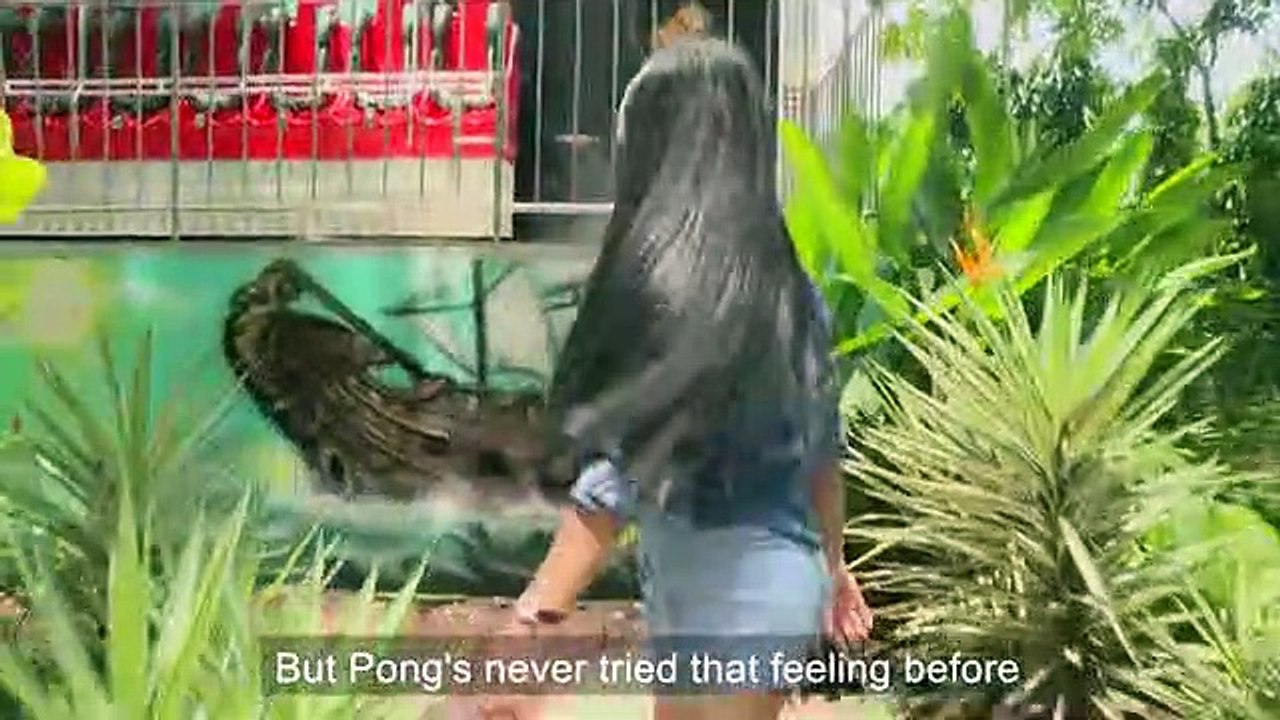 Visit the Zoo