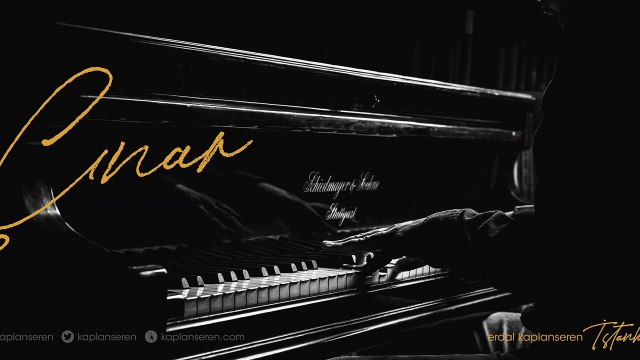 Erdal Kaplanseren - Çınar