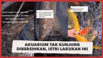 Nyesek Lihatnya! Kesal Akuarium Tak Kunjung Dibersihkan Suami, Istri Nekat Lakukan Ini