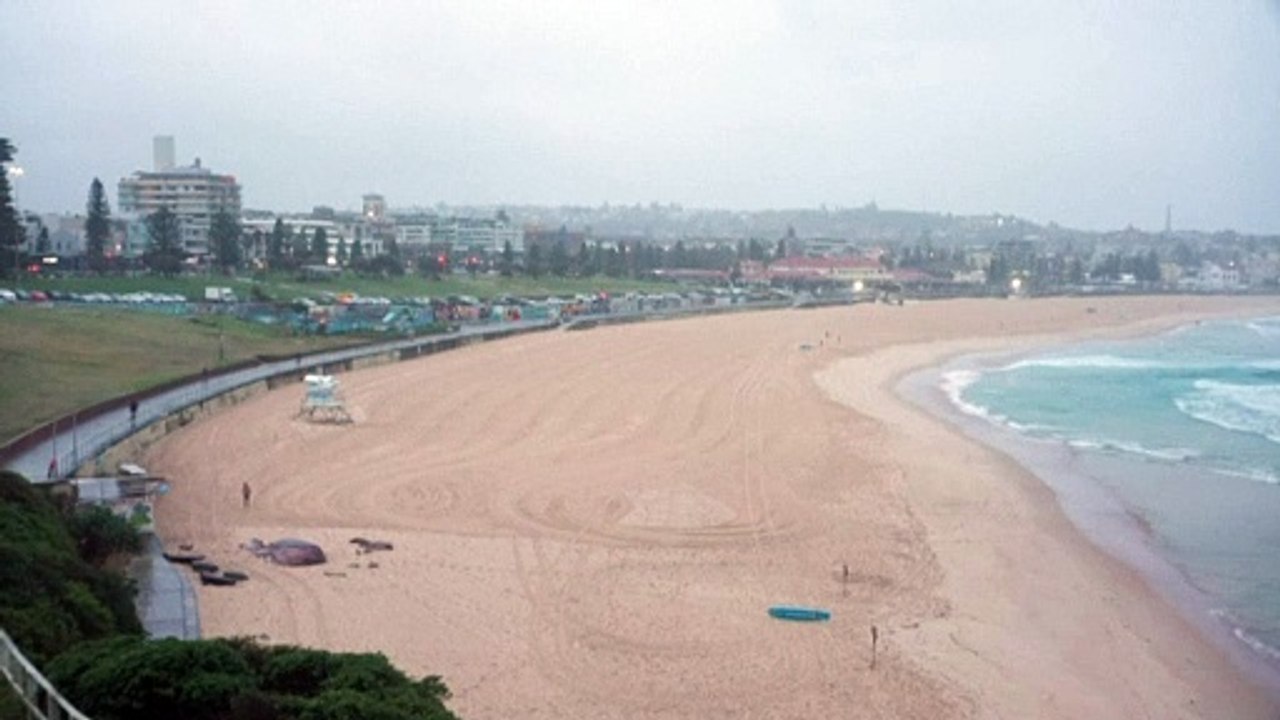 So feiert Sydney das Ende von 106 Tagen im Lockdown: 5 Fotos