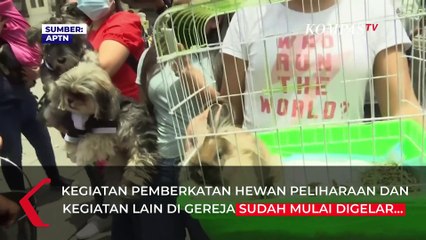 Puluhan Warga Padati Gereja di Lima untuk Ikuti Pemberkatan Hewan Peliharaan
