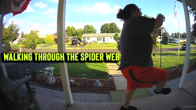 'Woman grossed out after accidentally walking through a HUGE spider web'