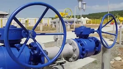 ABD Enerji Derneği Başkanı CNN TÜRK'e konuştu