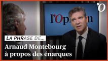 Arnaud Montebourg: «Les énarques ne connaissent rien et régentent la société»