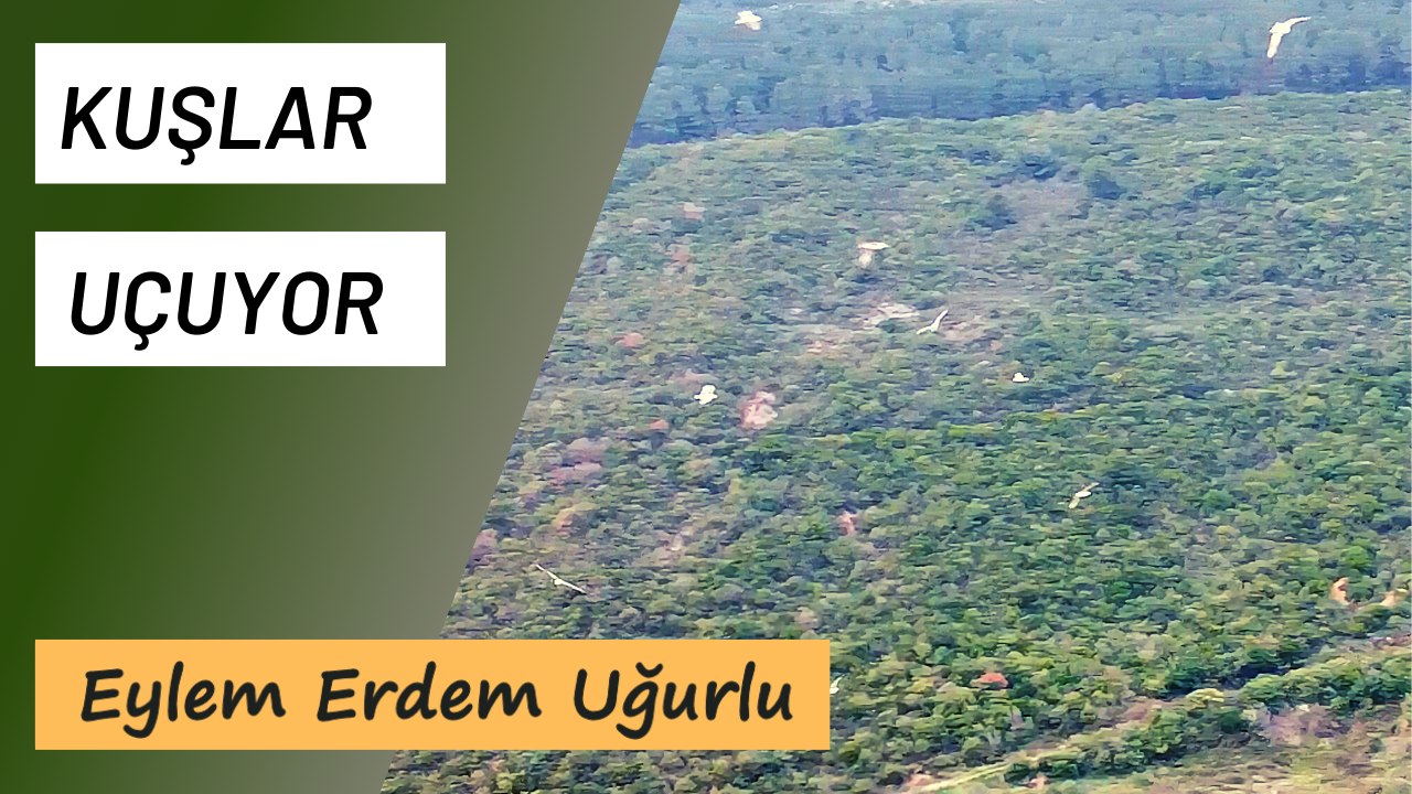 Eylem Erdem Uğurlu - Kuşlar Uçuyor (Lyric Video)