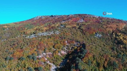 Yıldız Dağı'nda doğa yürüyüşü yapıldı