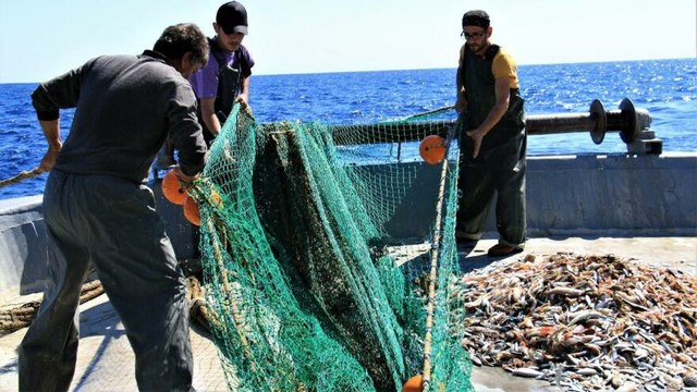 Denizden 4 TL’ye çıkan balık tezgâhta 35 TL