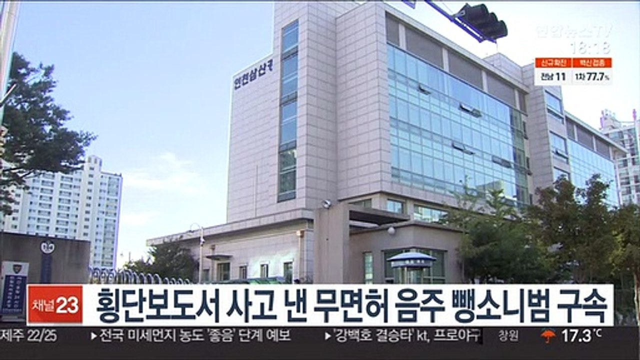 횡단보도서 사고 낸 무면허 음주 뺑소니범 구속