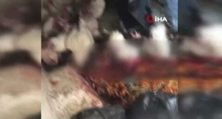 İstanbul’da mide bulandıran görüntü