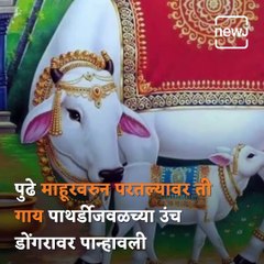 Travel Diary: Everything You Need To Know About Mohatadevi Temple