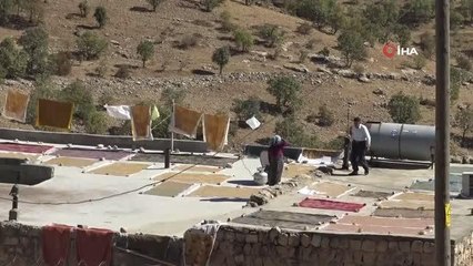 Gercüş'te üzümün, pekmez, pestil ve cevizli sucuk yolculuğu