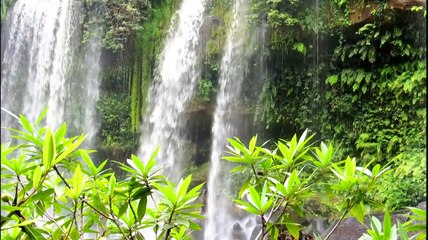 Relaxing Music, Study Music, Calming Music, Meditation Music, Spa Music,  Deep Sleep Music At Night.