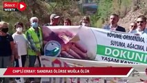 CHP’li Erbay: Sandras ölürse Muğla ölür