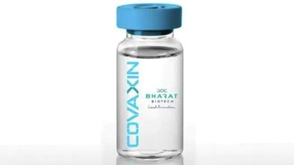 WHO likely to clear Covaxin by mid-October; All you need to know about Zydus Cadila's vaccine; more