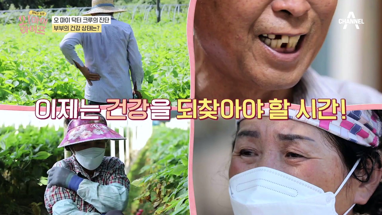 '마비가 올 수도 있는 상황' 오 마이 닥터 크루의 진단, 부부의 건강 상태는?!