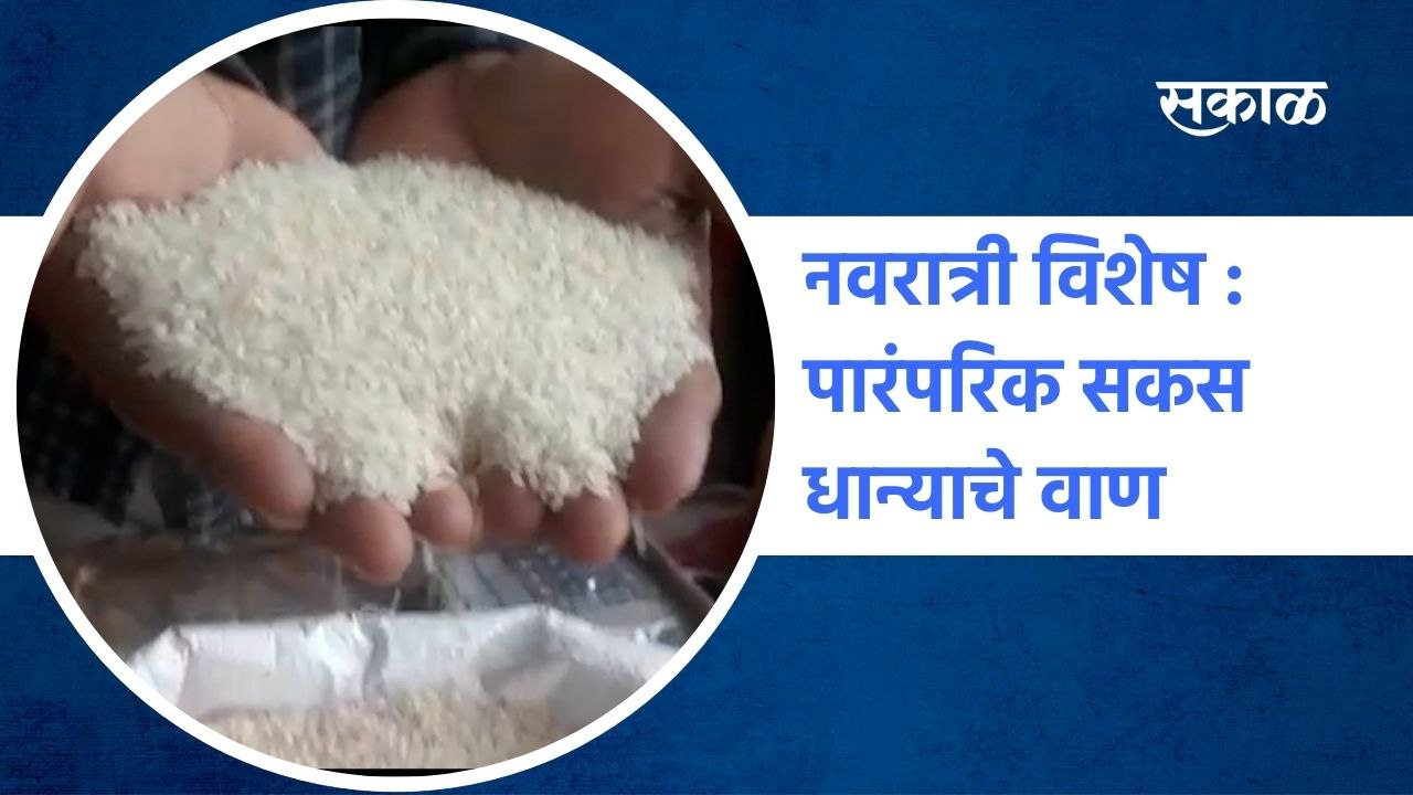 नवरात्री विशेष : पारंपरिक सकस धान्याचे वाण