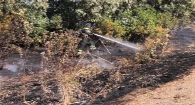 Cuglieri (OR) - Incendio di vegetazione vicino azienda agricola (11.10.21)