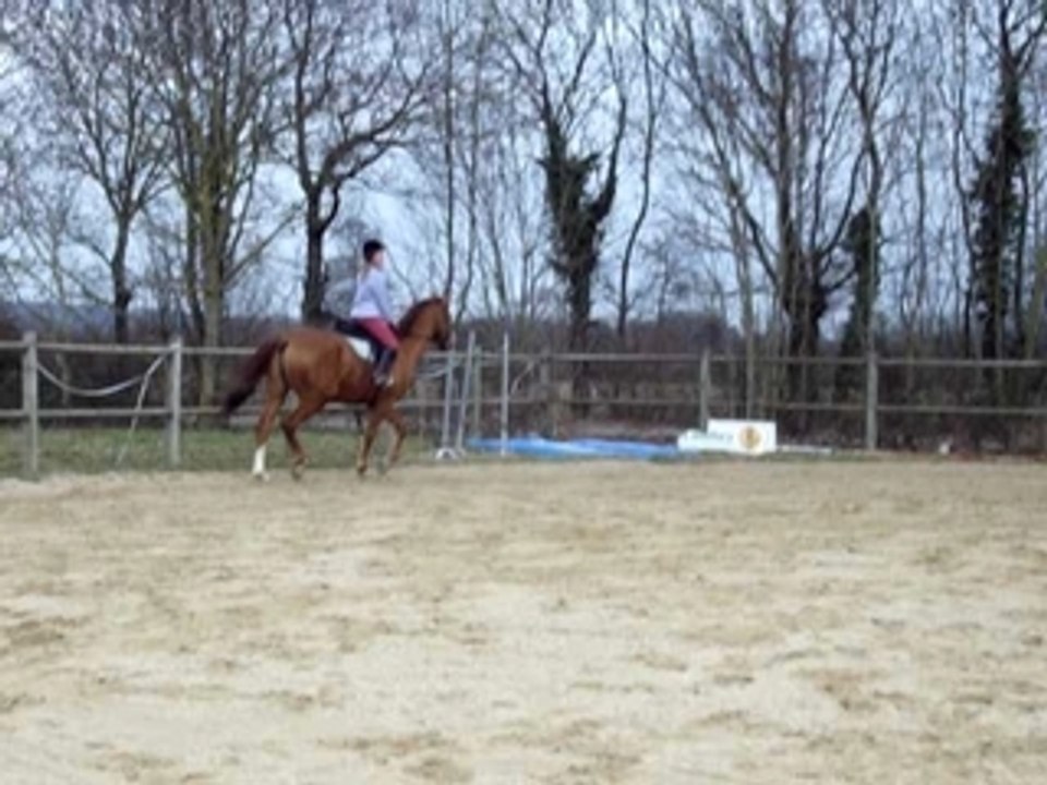 Le 29.02.08 091