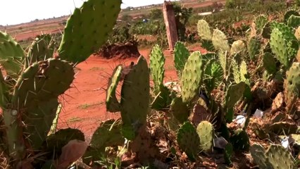 "I can go days without eating," says Madagascar drought victim