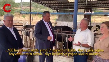 İZMİRLİ BESİCİ: "BANKALARA BORCUMU ÖDEYEBİLMEK İÇİN HAYVANLARIMIN ÇOĞUNU SATTIM"