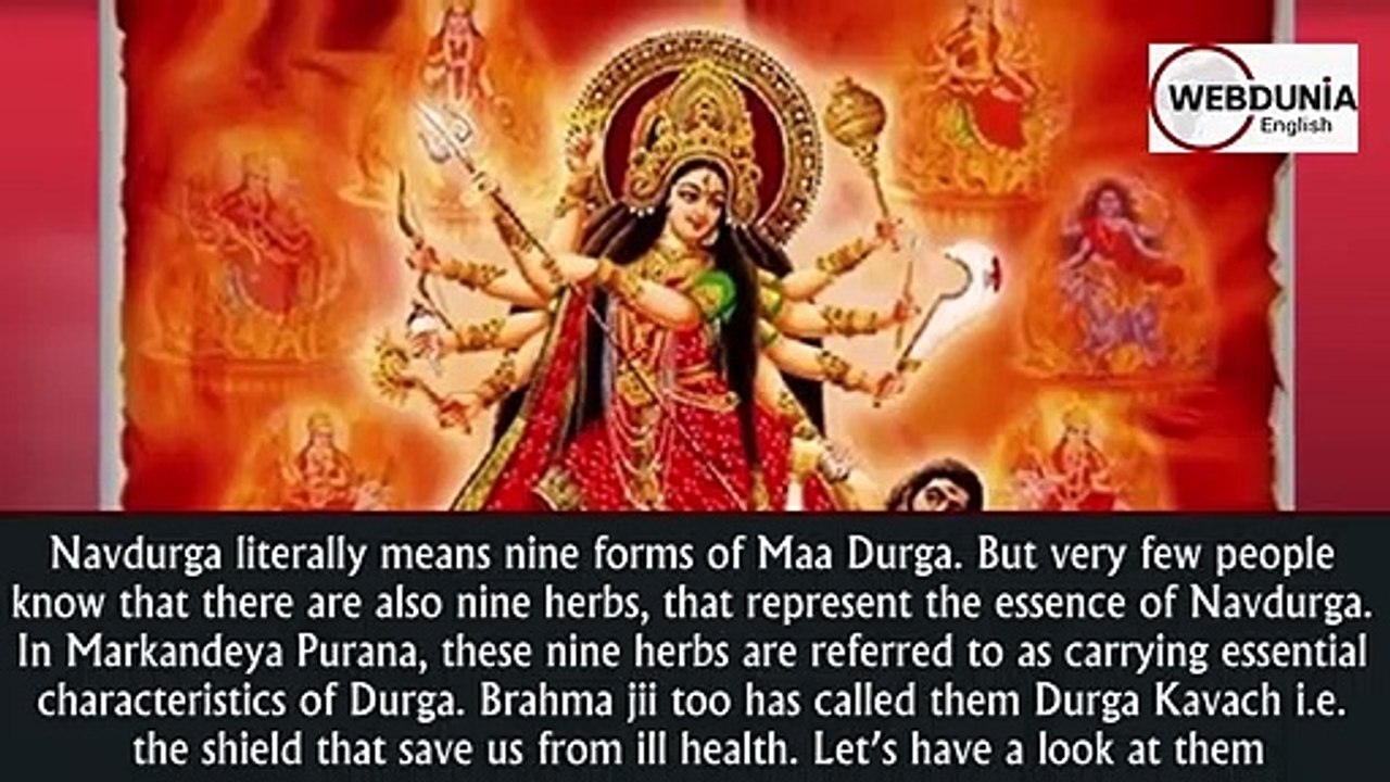 9 Herbs for Navratri