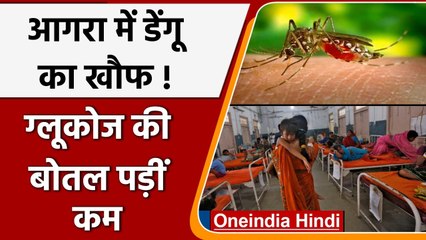 UP के Agra में डेंगू-वायरल का कहर, Glucose की बोतल पड़ी शॉर्ट, 50 से ज्यादा मौत | वनइंडिया हिंदी